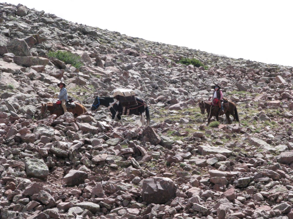 Smart and kind horsemen.